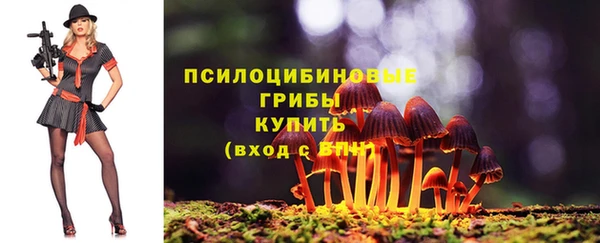 синтетический гашиш Горнозаводск